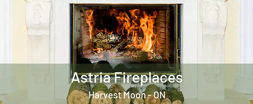 Astria Fireplaces Harvest Moon - ON