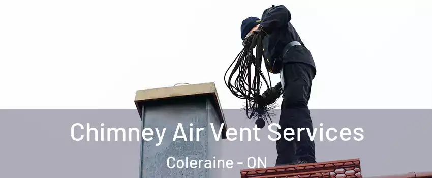 Chimney Air Vent Services Coleraine - ON
