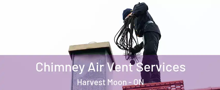 Chimney Air Vent Services Harvest Moon - ON