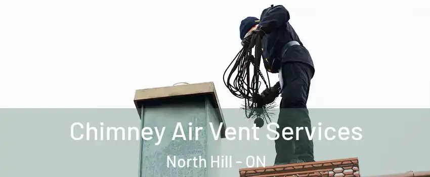 Chimney Air Vent Services North Hill - ON