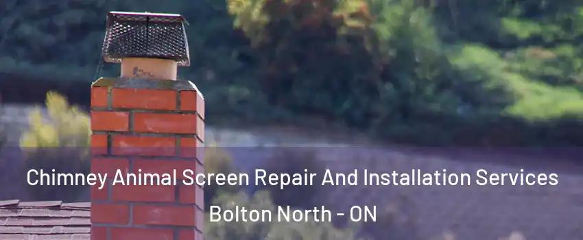 Chimney Animal Screen Repair And Installation Services Bolton North - ON