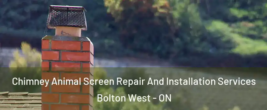 Chimney Animal Screen Repair And Installation Services Bolton West - ON