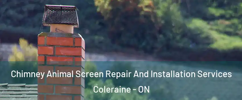 Chimney Animal Screen Repair And Installation Services Coleraine - ON