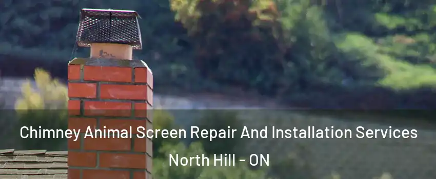 Chimney Animal Screen Repair And Installation Services North Hill - ON