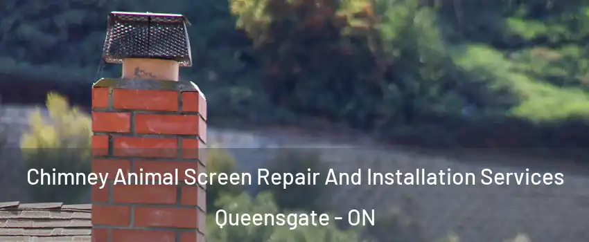 Chimney Animal Screen Repair And Installation Services Queensgate - ON