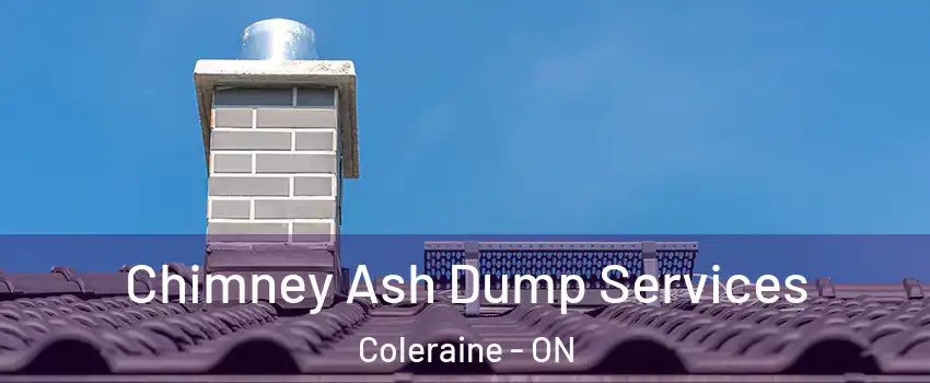 Chimney Ash Dump Services Coleraine - ON