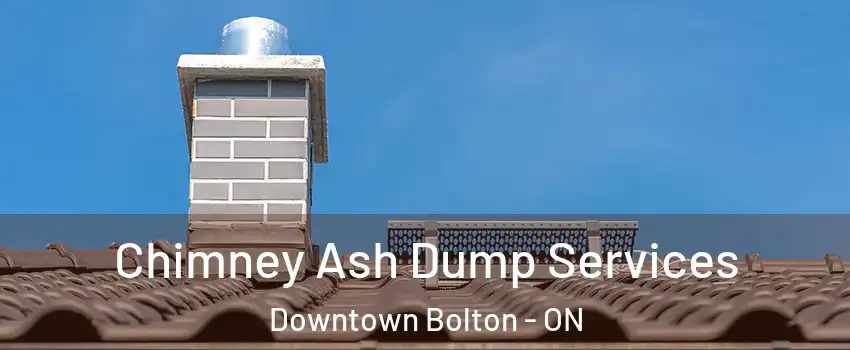 Chimney Ash Dump Services Downtown Bolton - ON