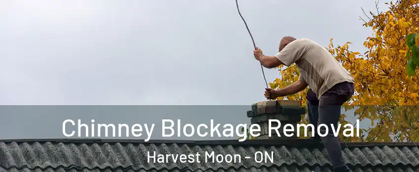 Chimney Blockage Removal Harvest Moon - ON