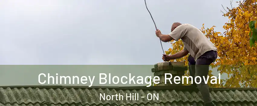 Chimney Blockage Removal North Hill - ON