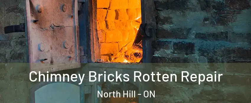 Chimney Bricks Rotten Repair North Hill - ON