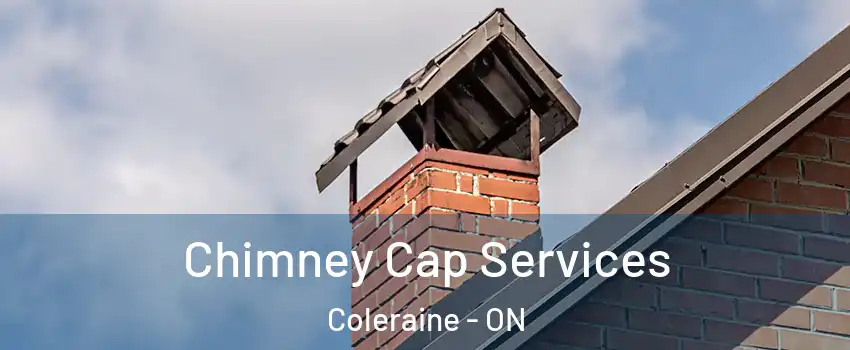 Chimney Cap Services Coleraine - ON