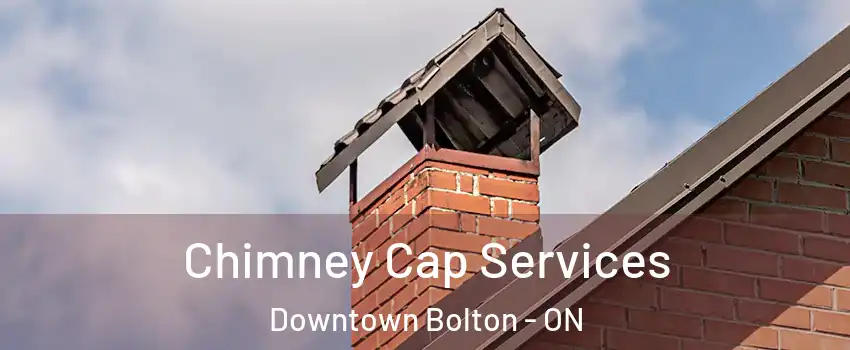 Chimney Cap Services Downtown Bolton - ON
