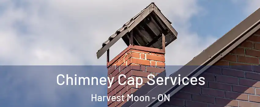 Chimney Cap Services Harvest Moon - ON