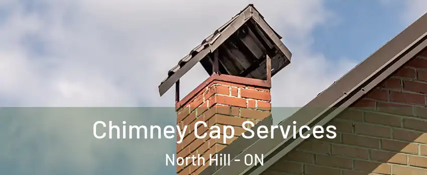 Chimney Cap Services North Hill - ON