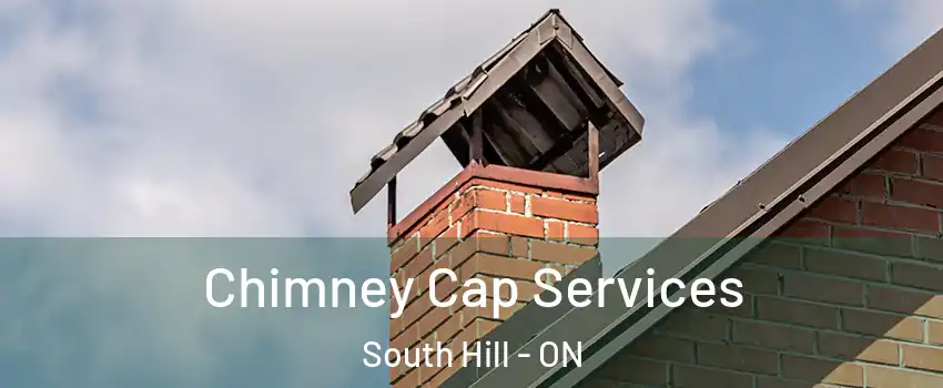 Chimney Cap Services South Hill - ON