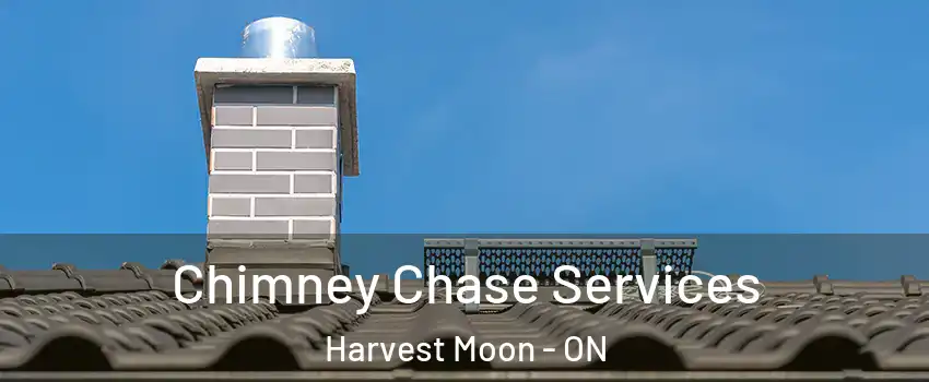  Chimney Chase Services Harvest Moon - ON