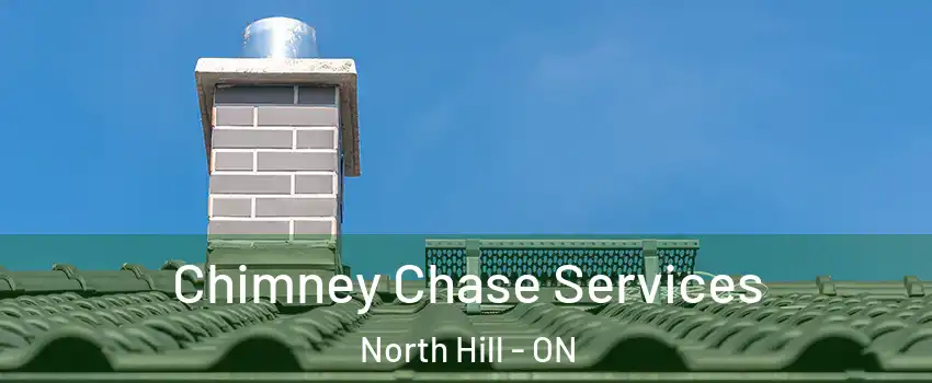  Chimney Chase Services North Hill - ON
