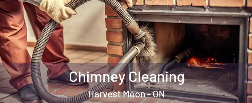 Chimney Cleaning Harvest Moon - ON