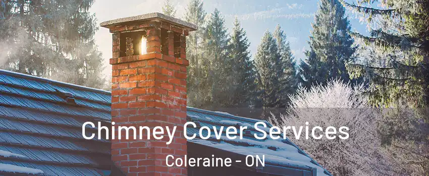 Chimney Cover Services Coleraine - ON