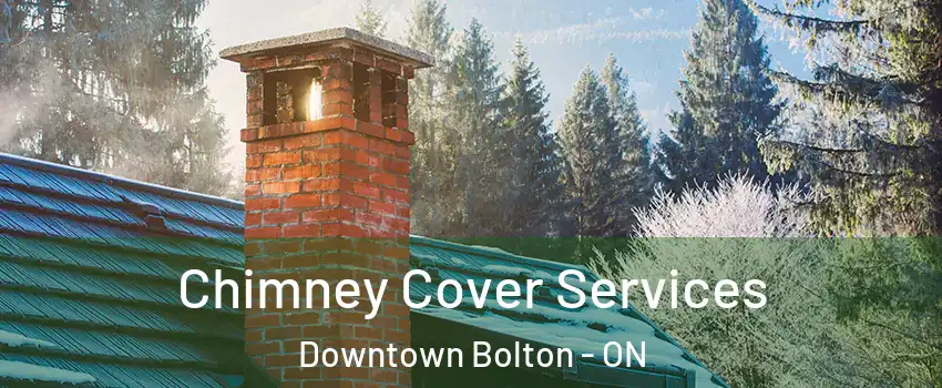 Chimney Cover Services Downtown Bolton - ON