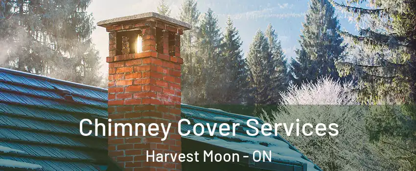 Chimney Cover Services Harvest Moon - ON