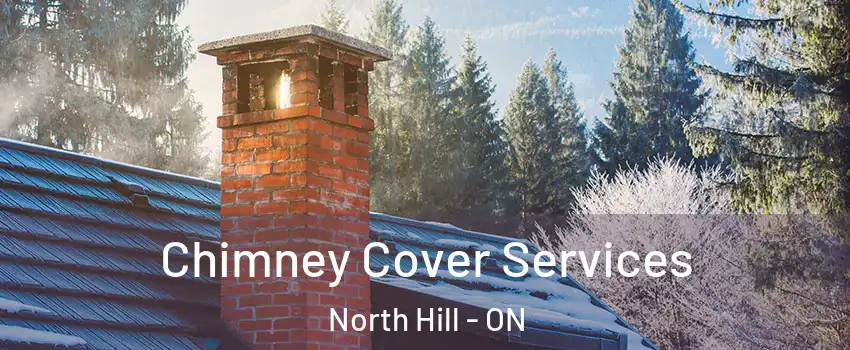 Chimney Cover Services North Hill - ON