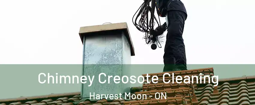 Chimney Creosote Cleaning Harvest Moon - ON