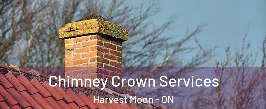 Chimney Crown Services Harvest Moon - ON