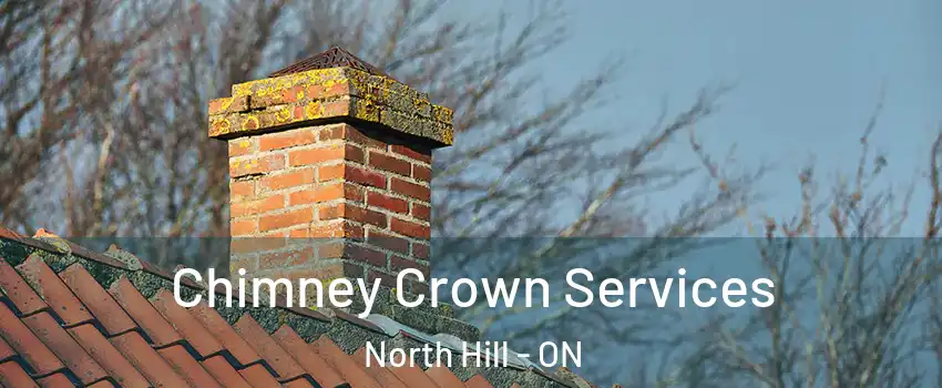 Chimney Crown Services North Hill - ON