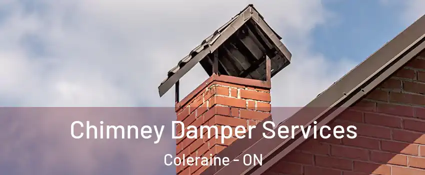 Chimney Damper Services Coleraine - ON
