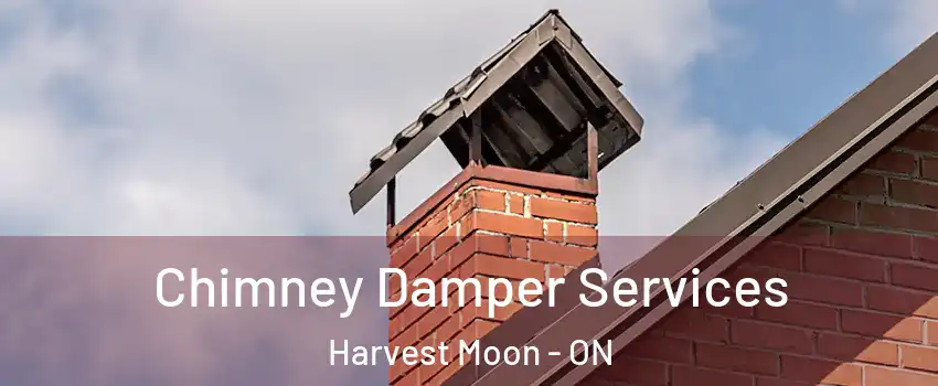 Chimney Damper Services Harvest Moon - ON