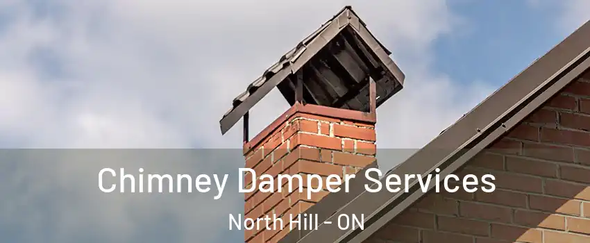 Chimney Damper Services North Hill - ON