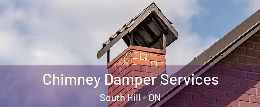 Chimney Damper Services South Hill - ON