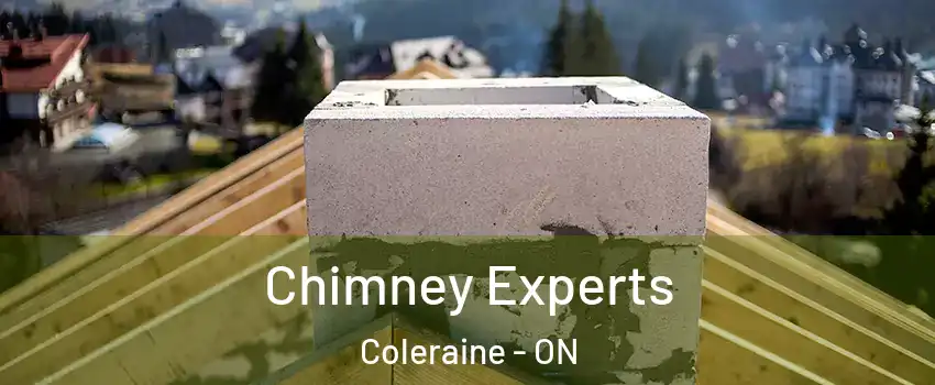 Chimney Experts Coleraine - ON