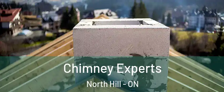 Chimney Experts North Hill - ON