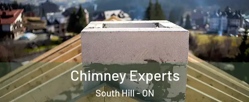 Chimney Experts South Hill - ON