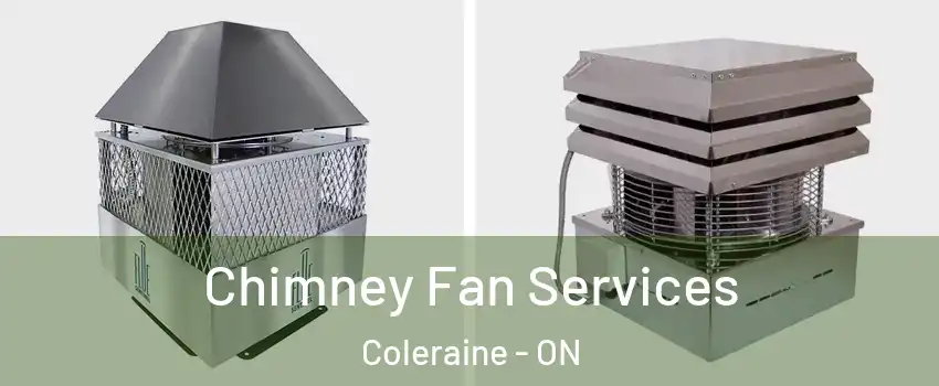 Chimney Fan Services Coleraine - ON