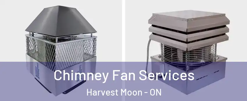 Chimney Fan Services Harvest Moon - ON