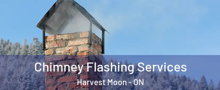 Chimney Flashing Services Harvest Moon - ON
