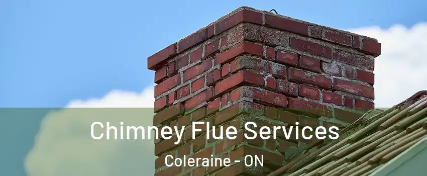 Chimney Flue Services Coleraine - ON