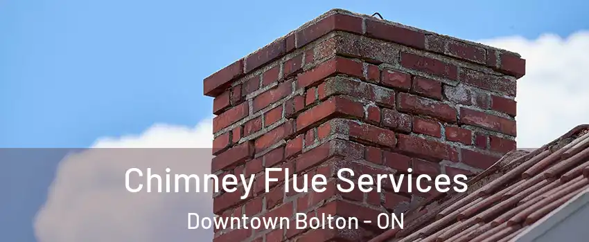 Chimney Flue Services Downtown Bolton - ON