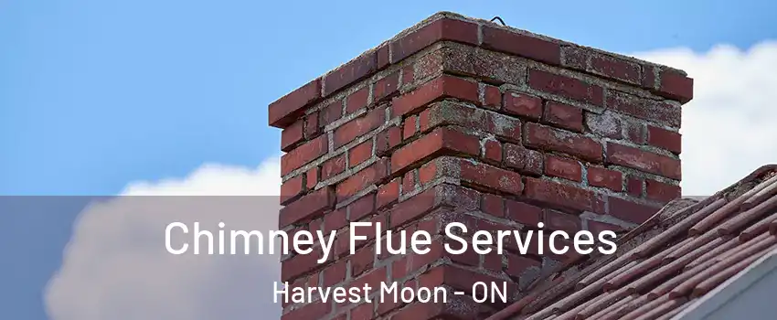 Chimney Flue Services Harvest Moon - ON