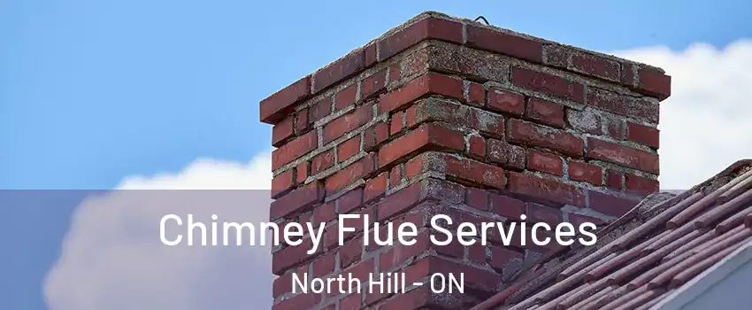 Chimney Flue Services North Hill - ON