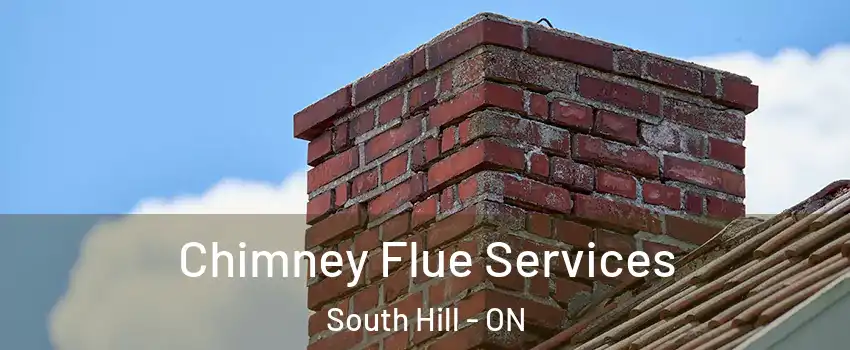 Chimney Flue Services South Hill - ON