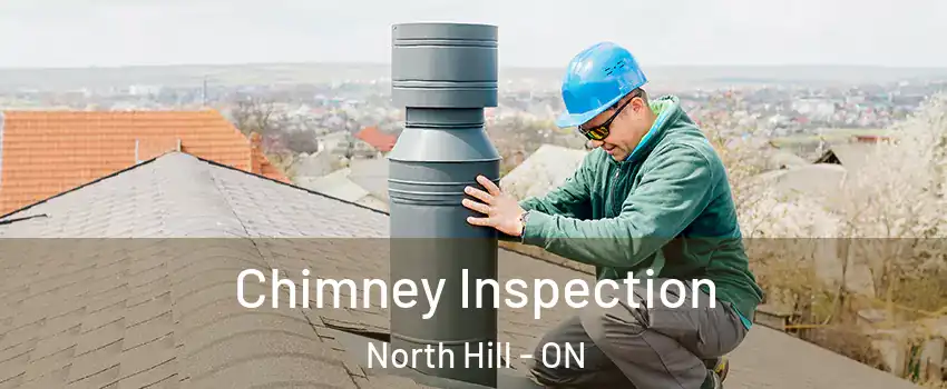 Chimney Inspection North Hill - ON
