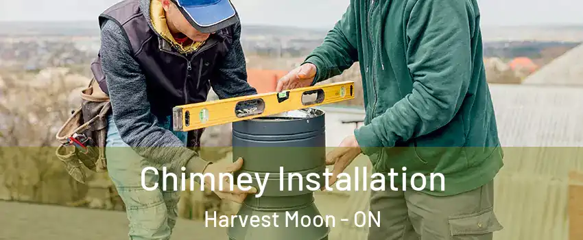 Chimney Installation Harvest Moon - ON