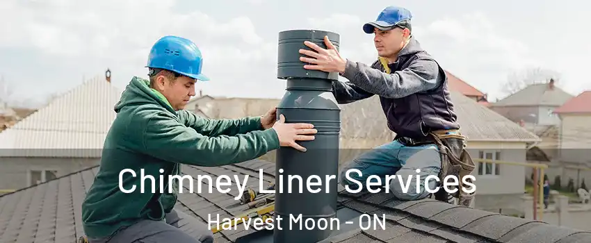 Chimney Liner Services Harvest Moon - ON