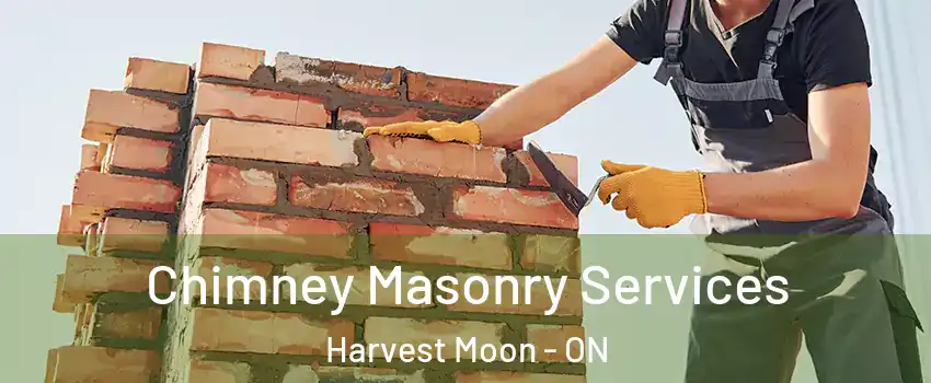 Chimney Masonry Services Harvest Moon - ON