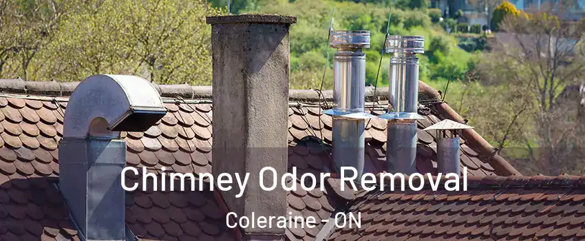 Chimney Odor Removal Coleraine - ON