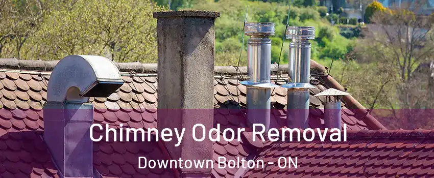 Chimney Odor Removal Downtown Bolton - ON